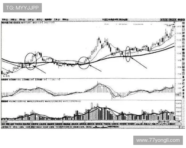 如何选择合适的工具进行有效的博彩预测